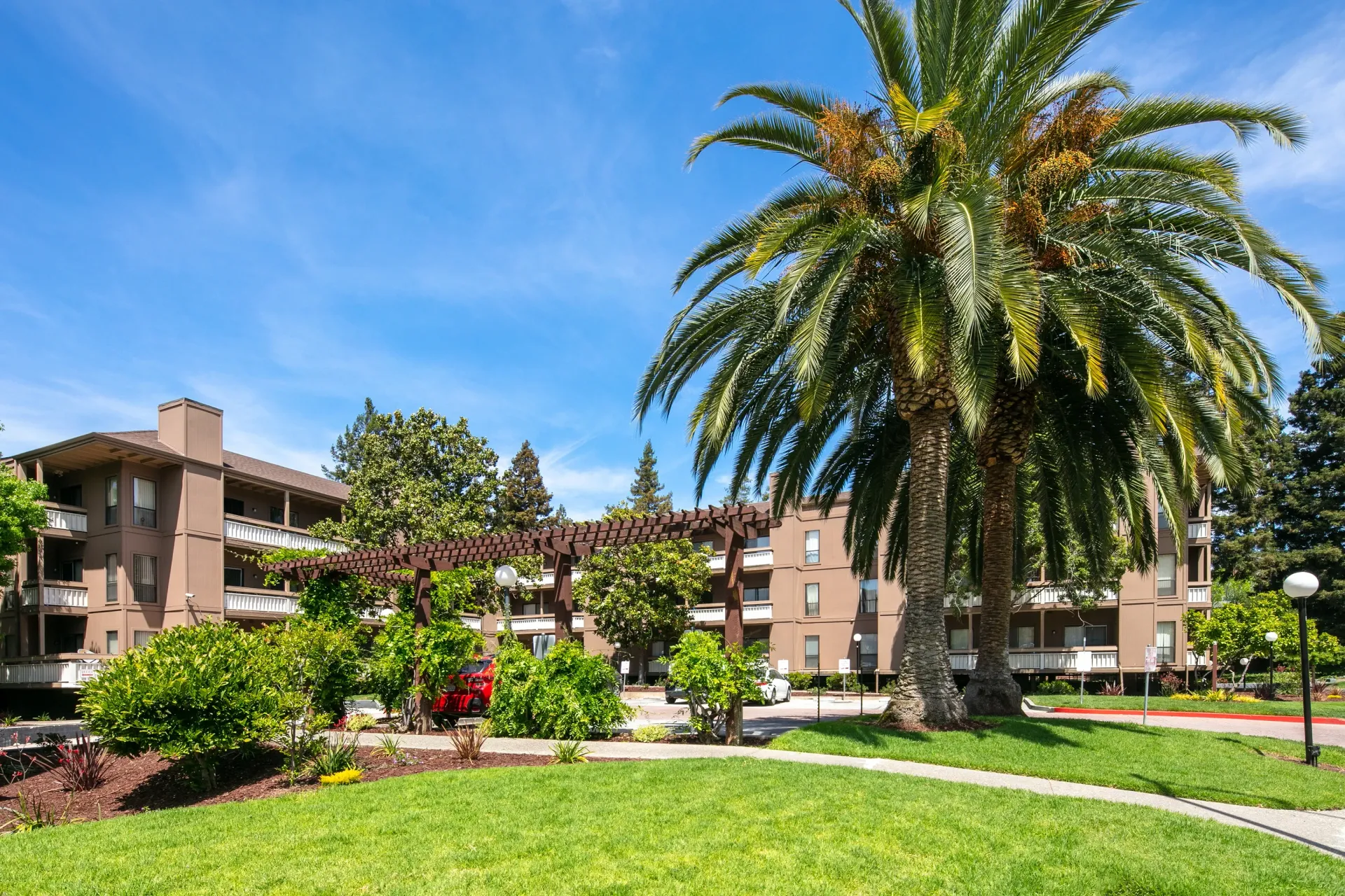 Apartment building exterior with palm trees and a pergola.