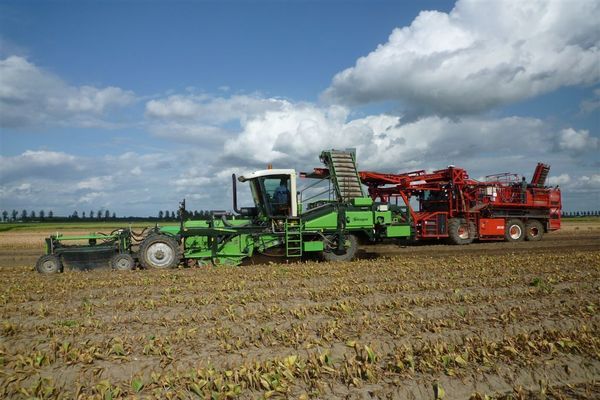 Tulpen rooien zonder en met de landspoeler