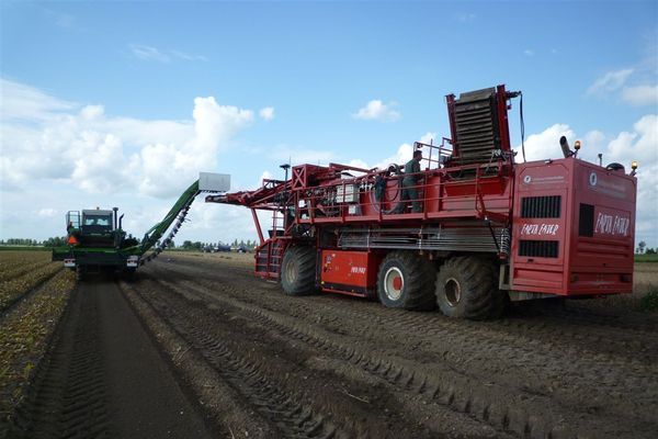 Tulpen rooien zonder en met de landspoeler