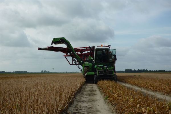 Tulpen rooien zonder en met de landspoeler