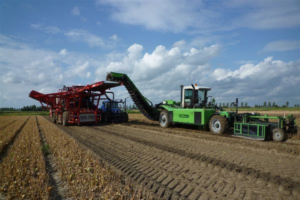 Tulpen rooien zonder en met de landspoeler