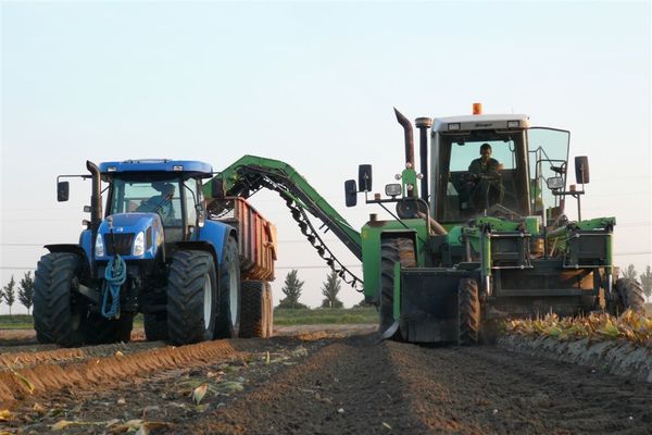 Tulpen rooien zonder en met de landspoeler
