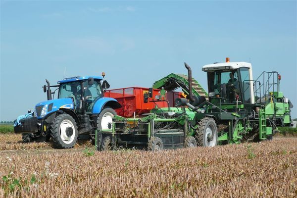 Tulpen rooien zonder en met de landspoeler