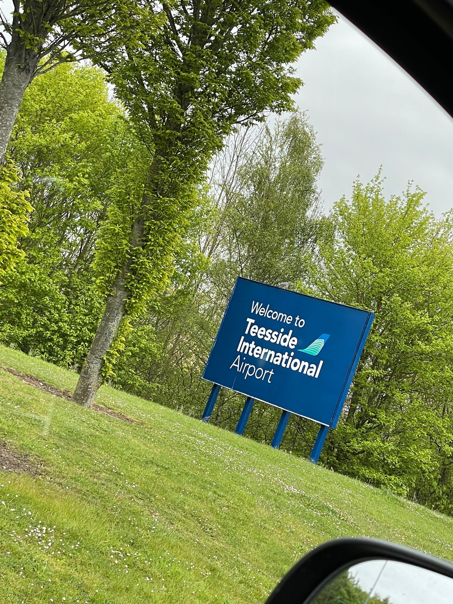 A blue sign is sitting on top of a lush green field.