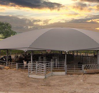 A group of cows are standing under a covered area on a farm.