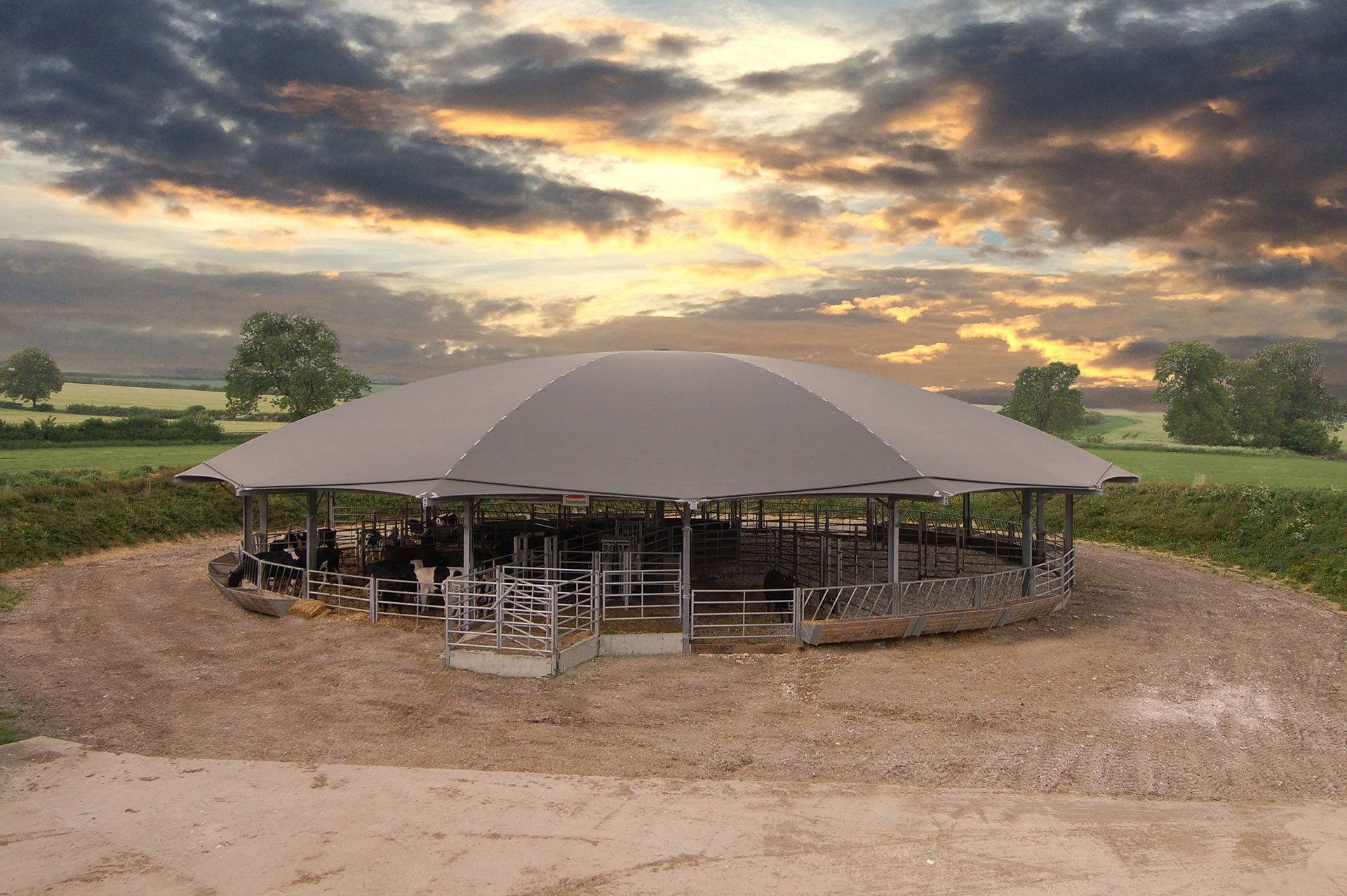 A group of cows are standing under a covered area on a farm.