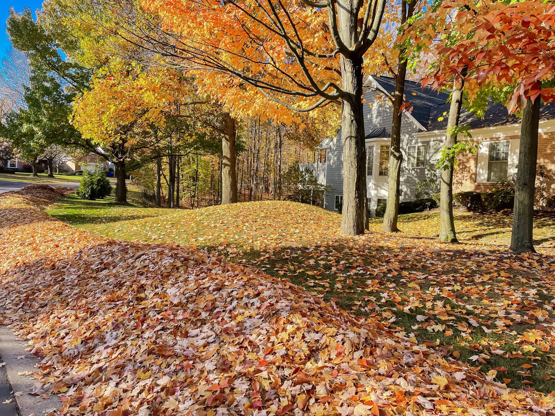 A Sidewalk Covered in Leaves in a Residential Neighborhood