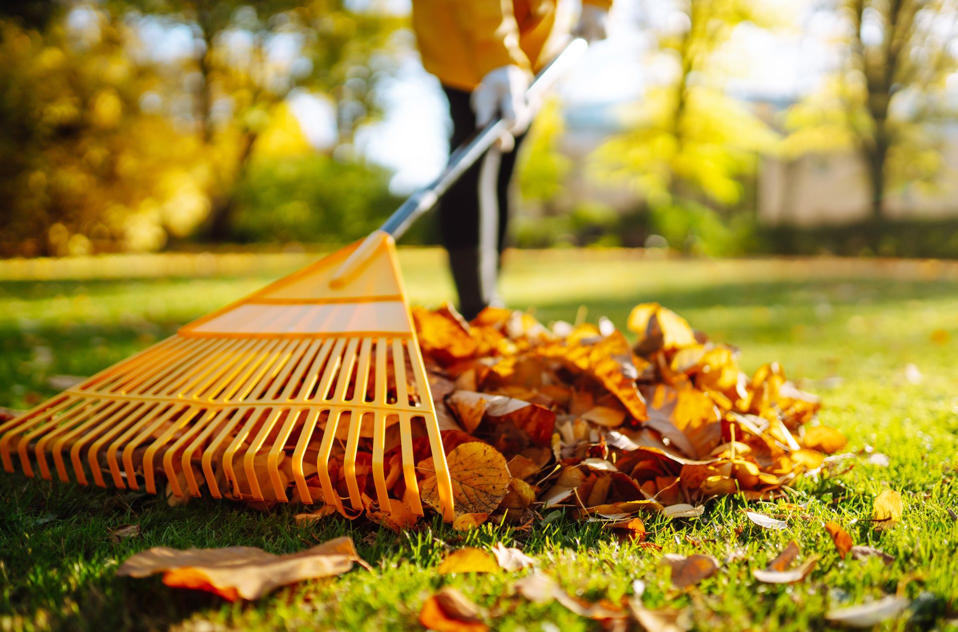 Service Raking Leaves Fall Leaf Cleanup | Grand Lawn Care