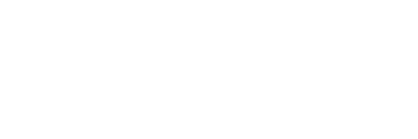 STEK DYNOshield