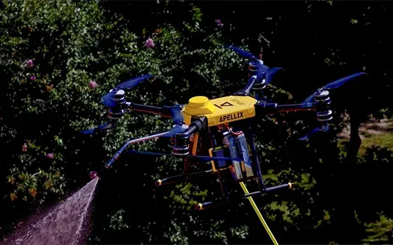Drone spraying liquid onto a tree, outdoors. Yellow body, blue propellers.