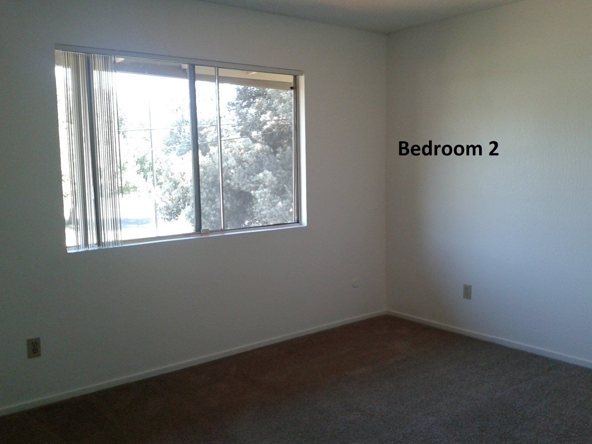 Bedroom 2 with beige carpet and window