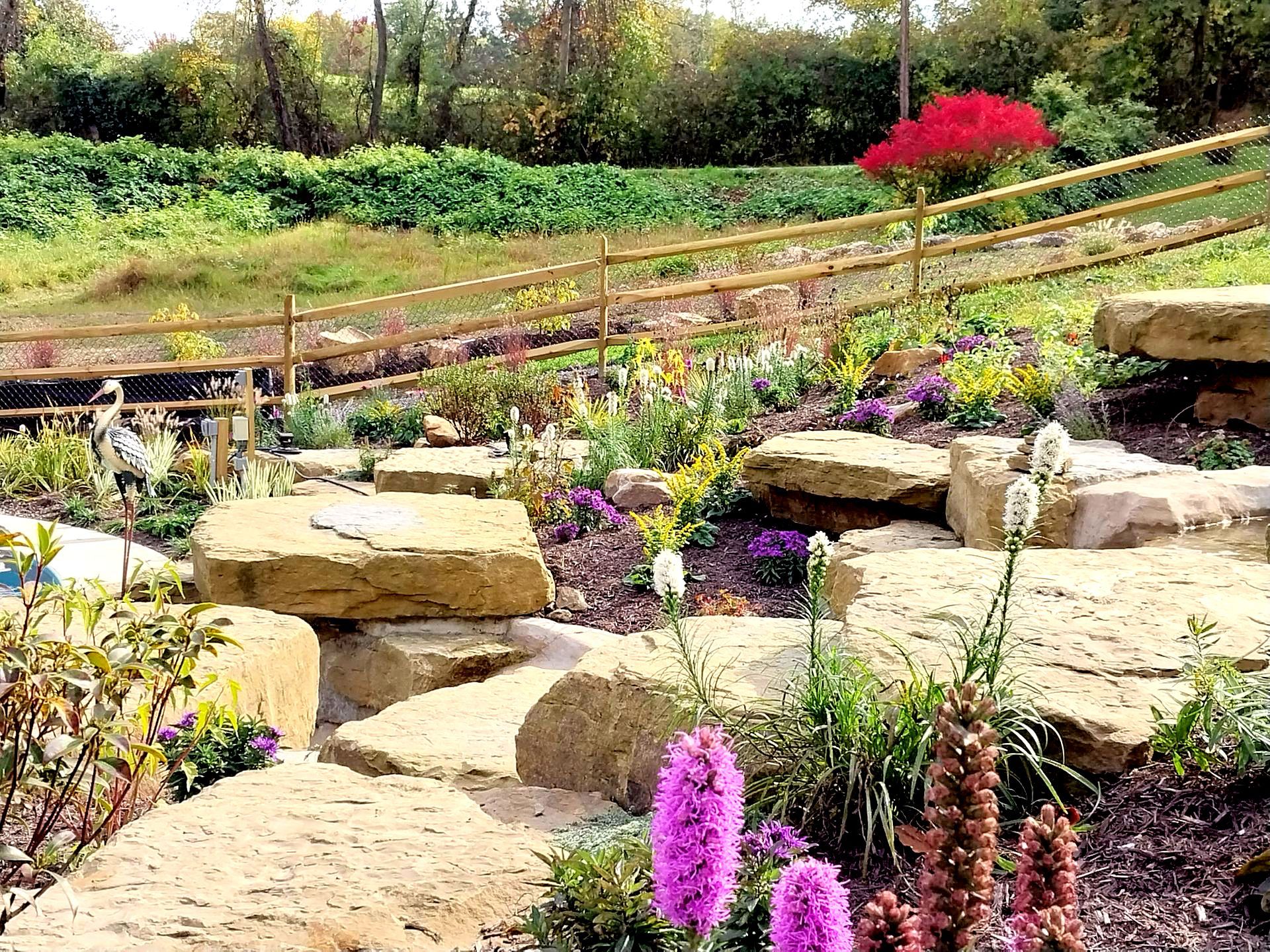 A garden filled with lots of flowers and rocks.