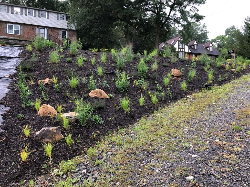 A lush green hillside with lots of plants and rocks in front of a house.