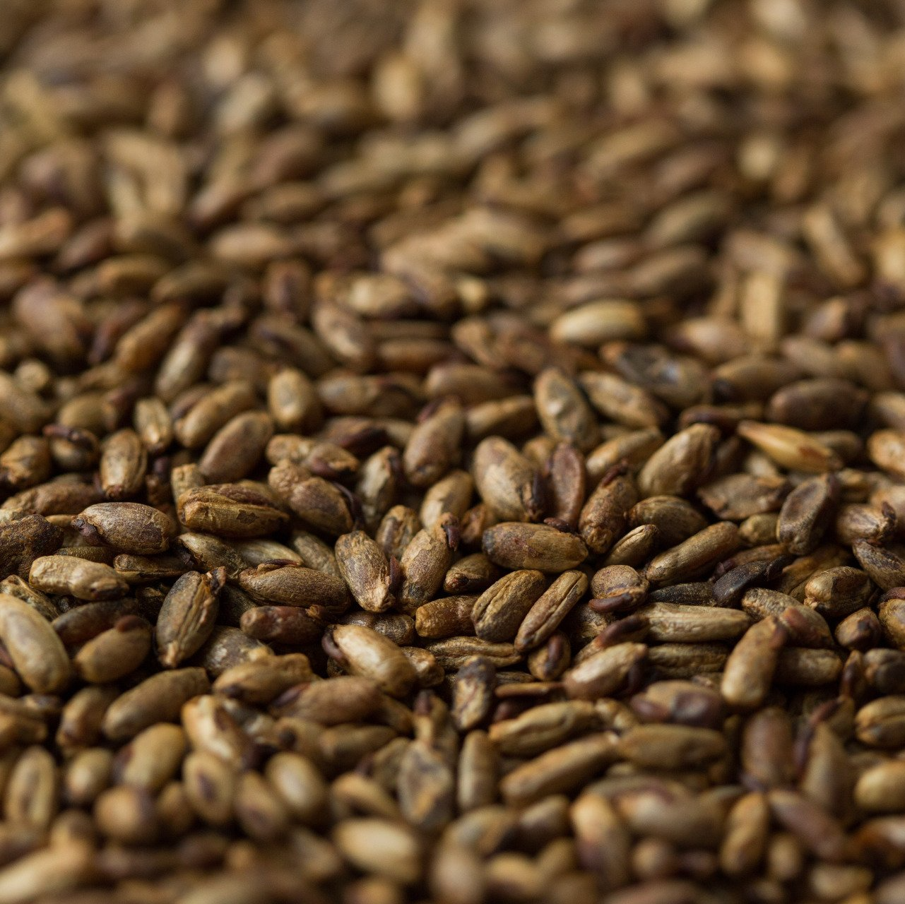 Explore Gladfields' Range of Fresh Specialty Malts