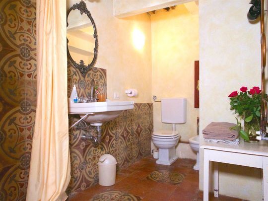 Clean and comfortable bathroom with shower in a farmhouse in Tuscany
