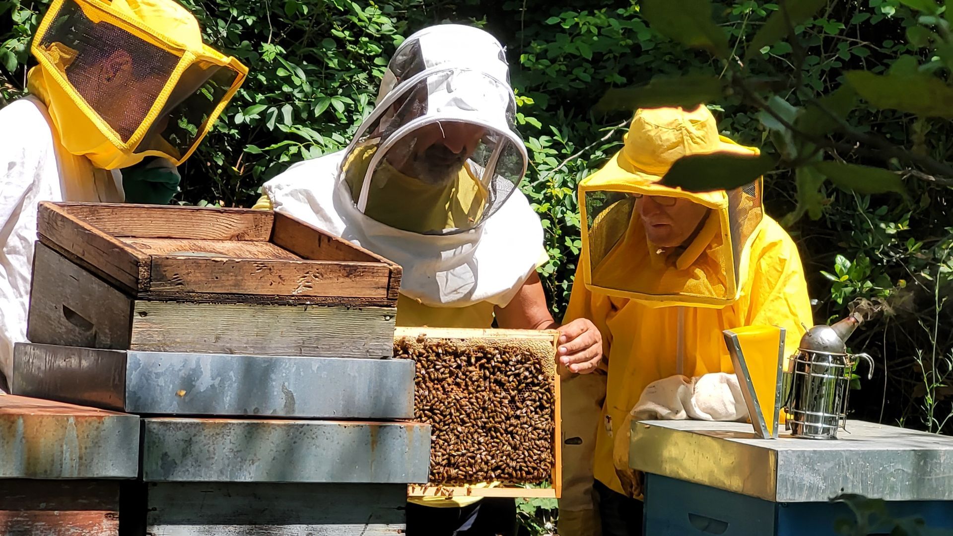 Producción de miel y mermelada en la finca.