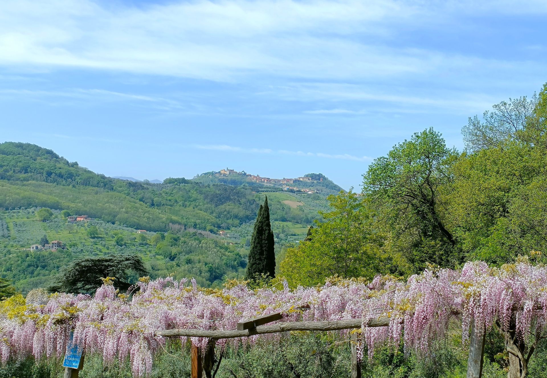 Vista de Montecatini Alto desde el Agriturismo I Pitti con pérgola cubierta de glicinas en flor