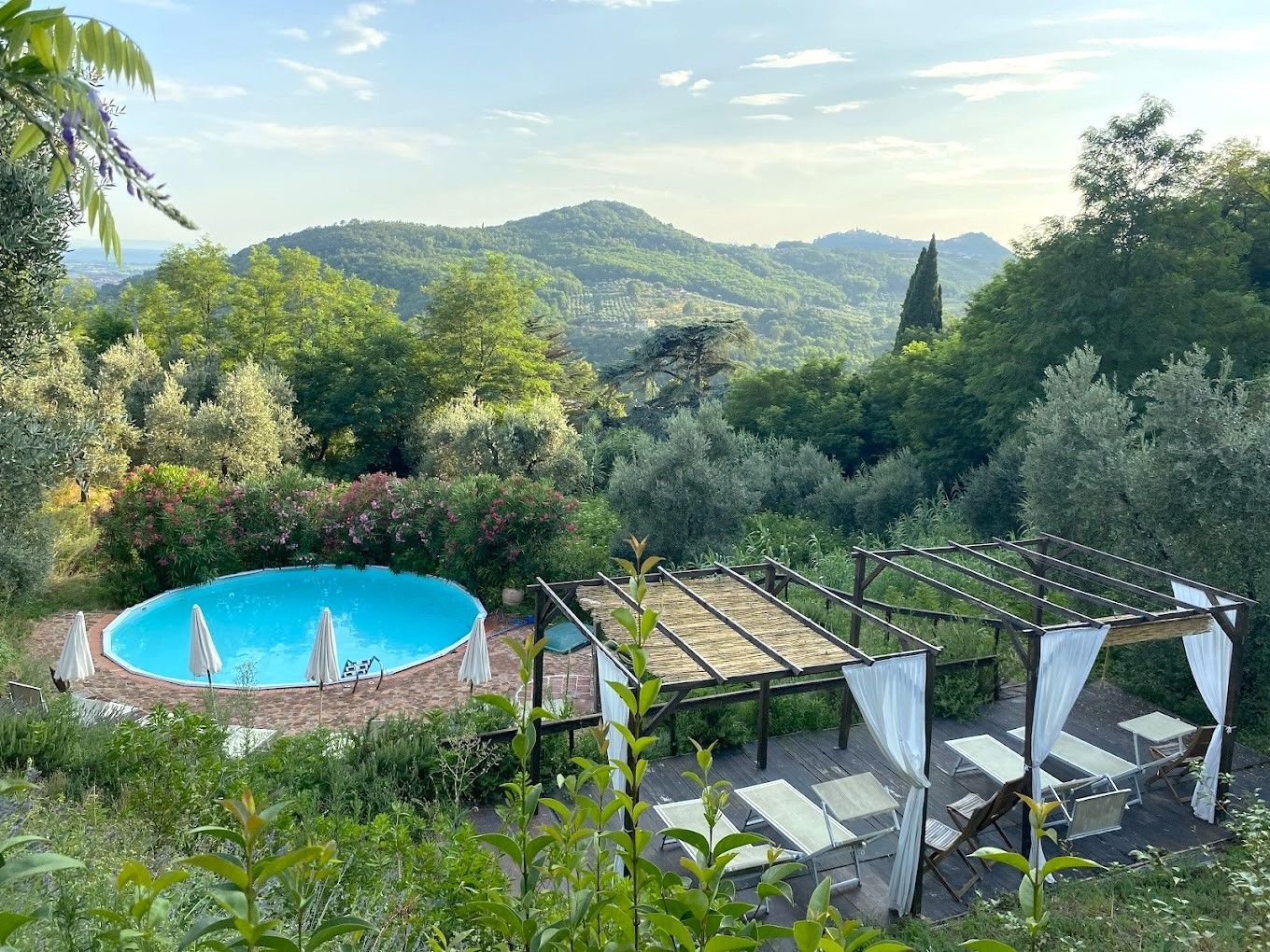 Vista panorámica de la piscina del Agriturismo I Pitti, rodeado de naturaleza.