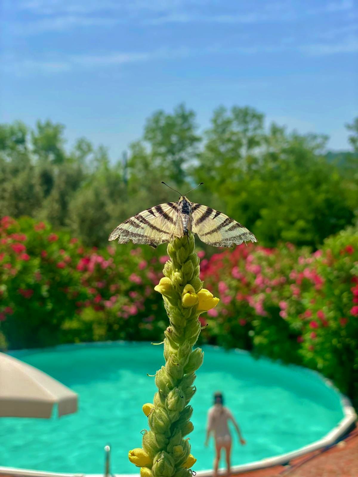 Agriturismo con piscina nella natura a Pistoia