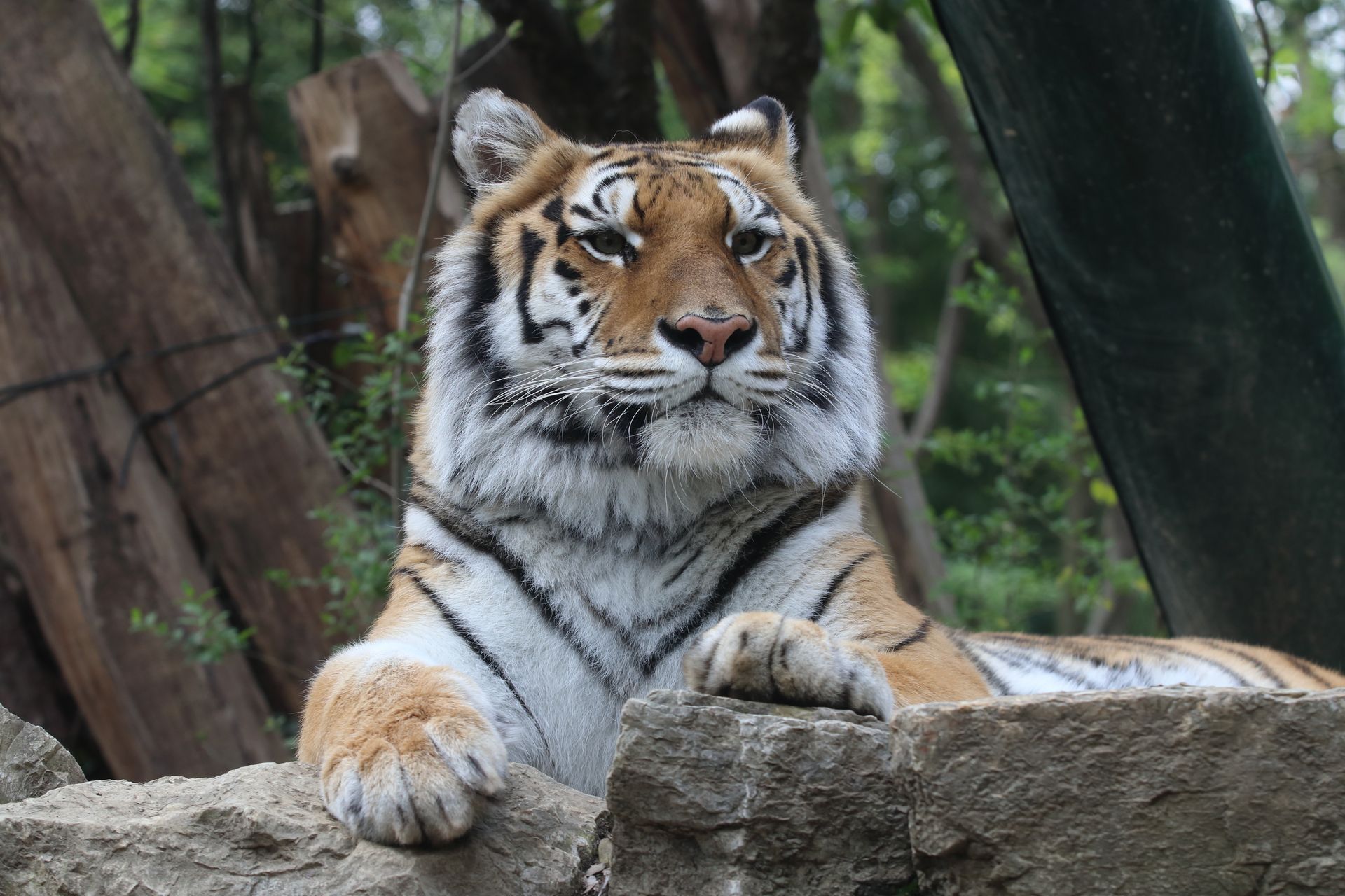 Zoo di Pistoia, Agriturismo I Pitti vicino allo Zoo di Pistoia, Bed & Breakfast vicino allo Zoo di Pistoia