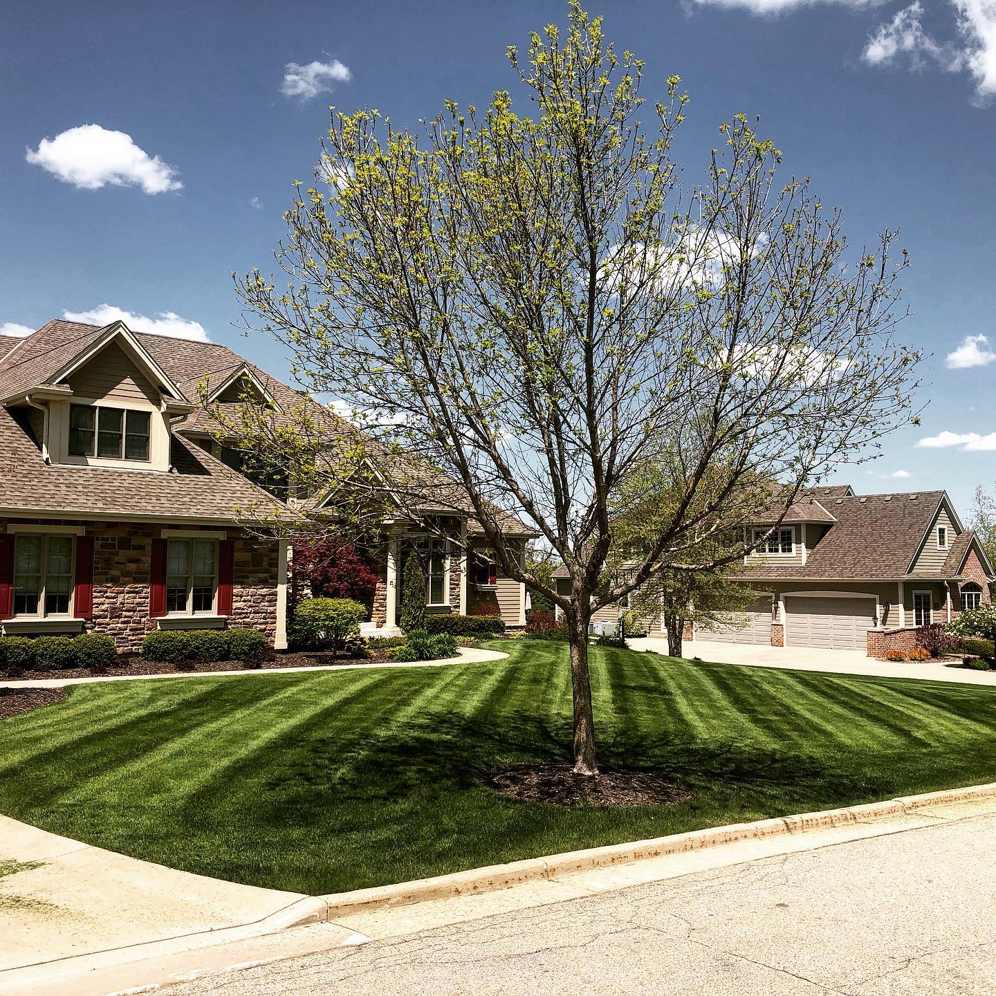 Lawn Care