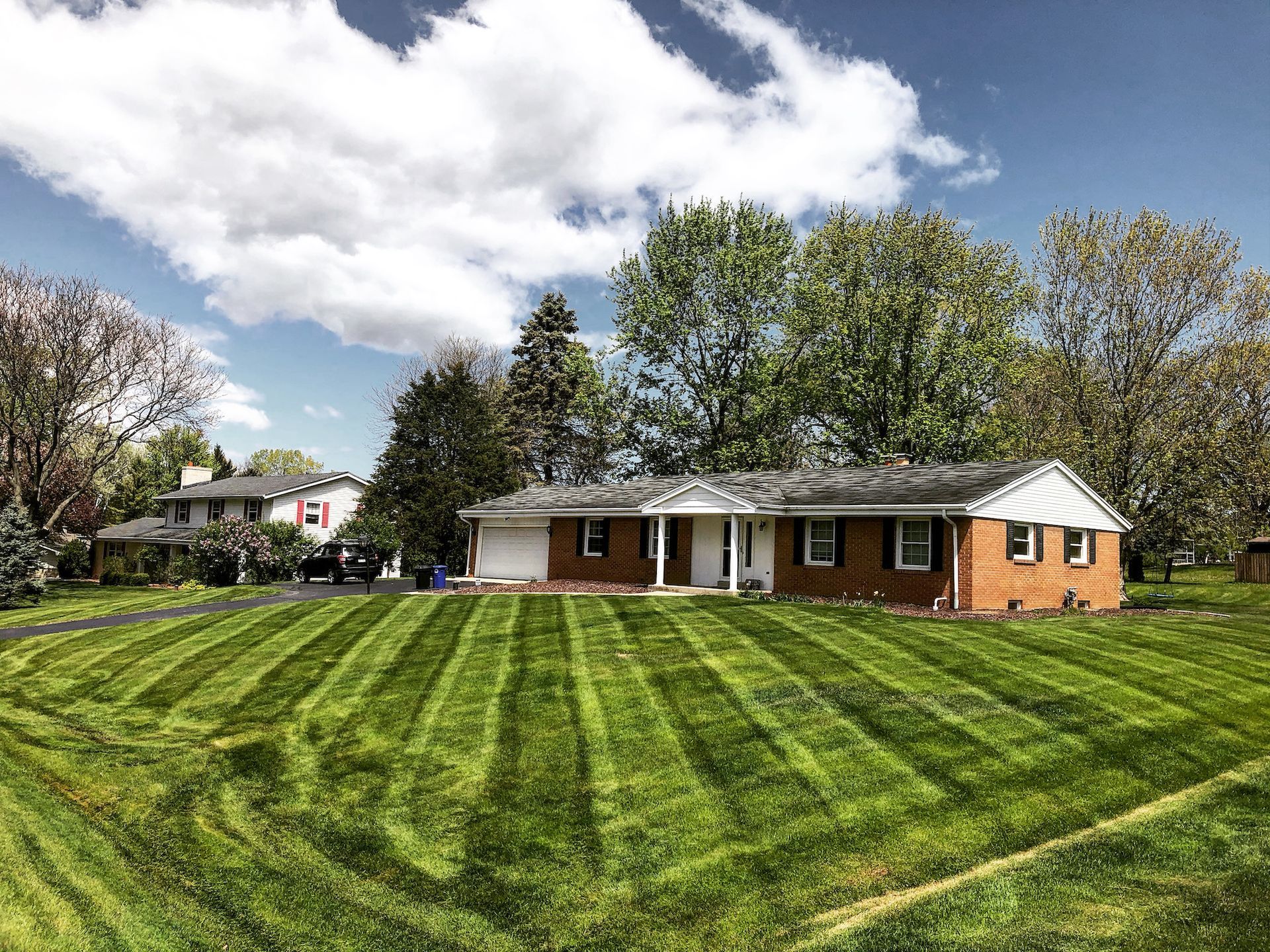 Lawn mowed yard