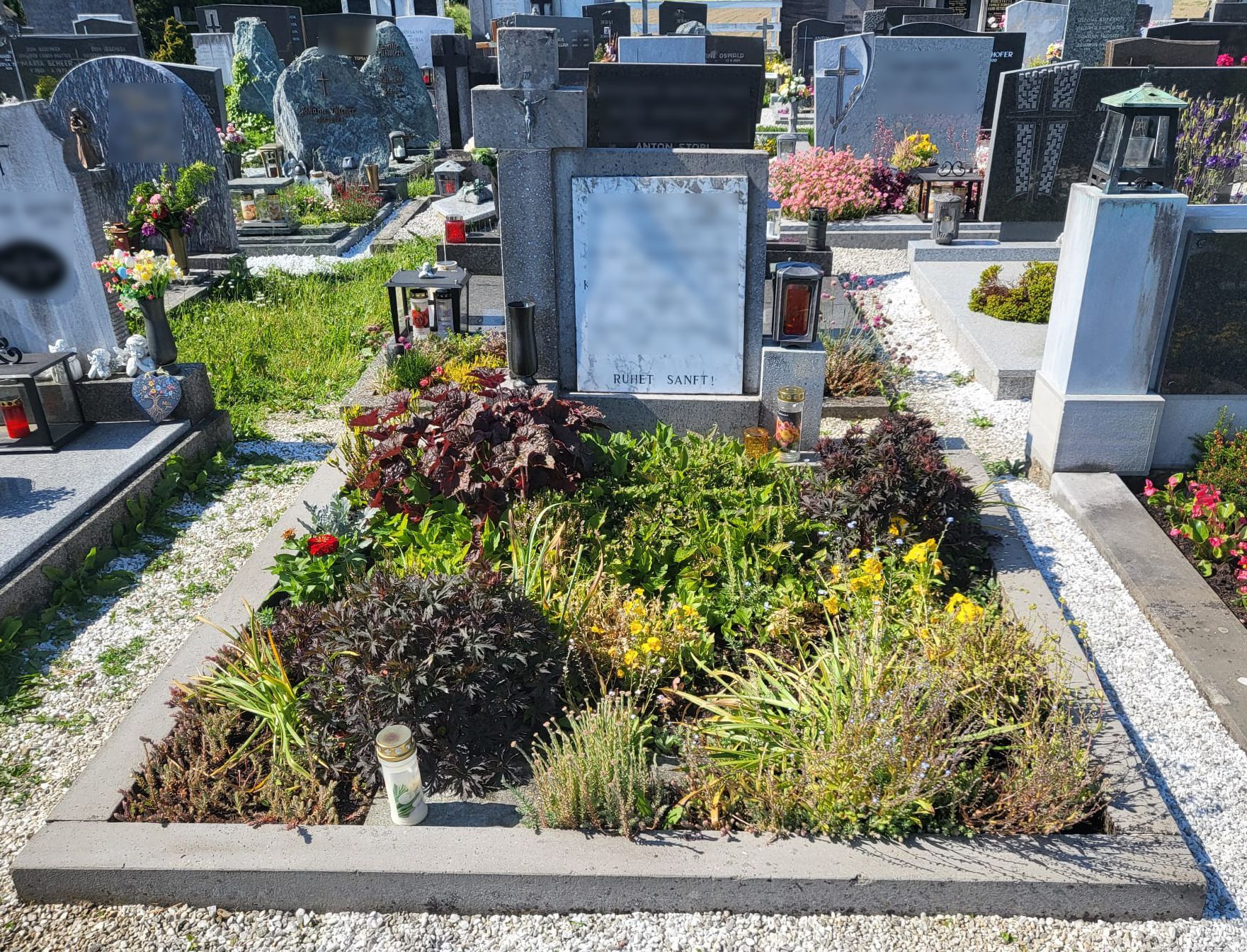 Blumenbedeckter Grabstein auf einem Friedhof, mit weißem Grabstein und umgebenden grünen und violetten Pflanzen.