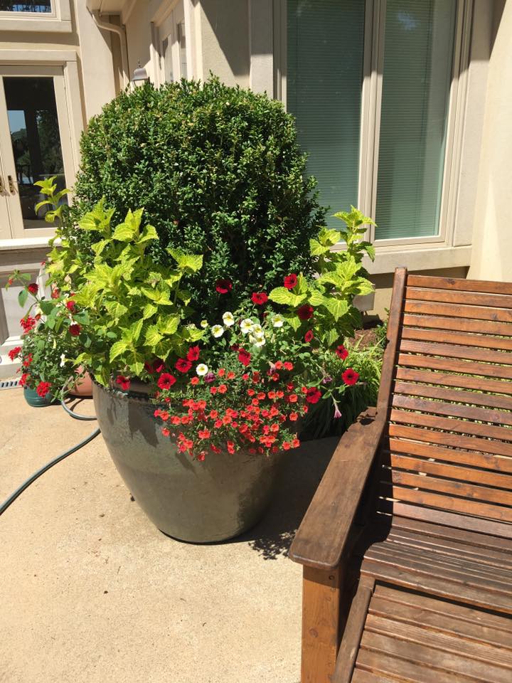 Landscape Design and Development, Little Rock AR