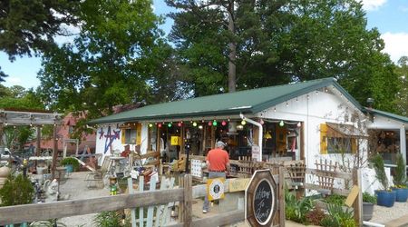 Outdoor café with a green roof, wooden deck, and people seated under trees.
