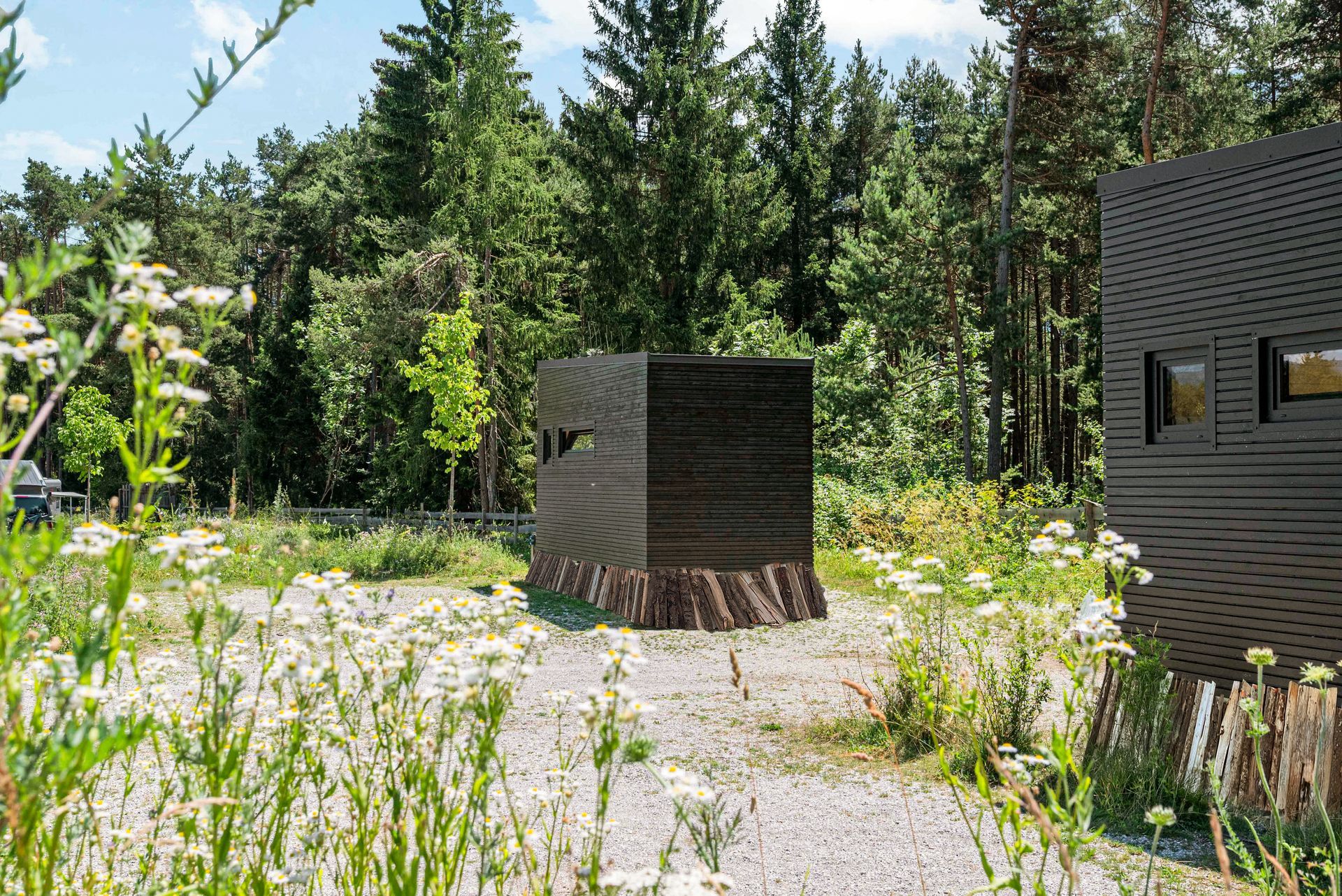 Small dark wooden structure in a gravel clearing, surrounded by tall green trees and wildflowers.