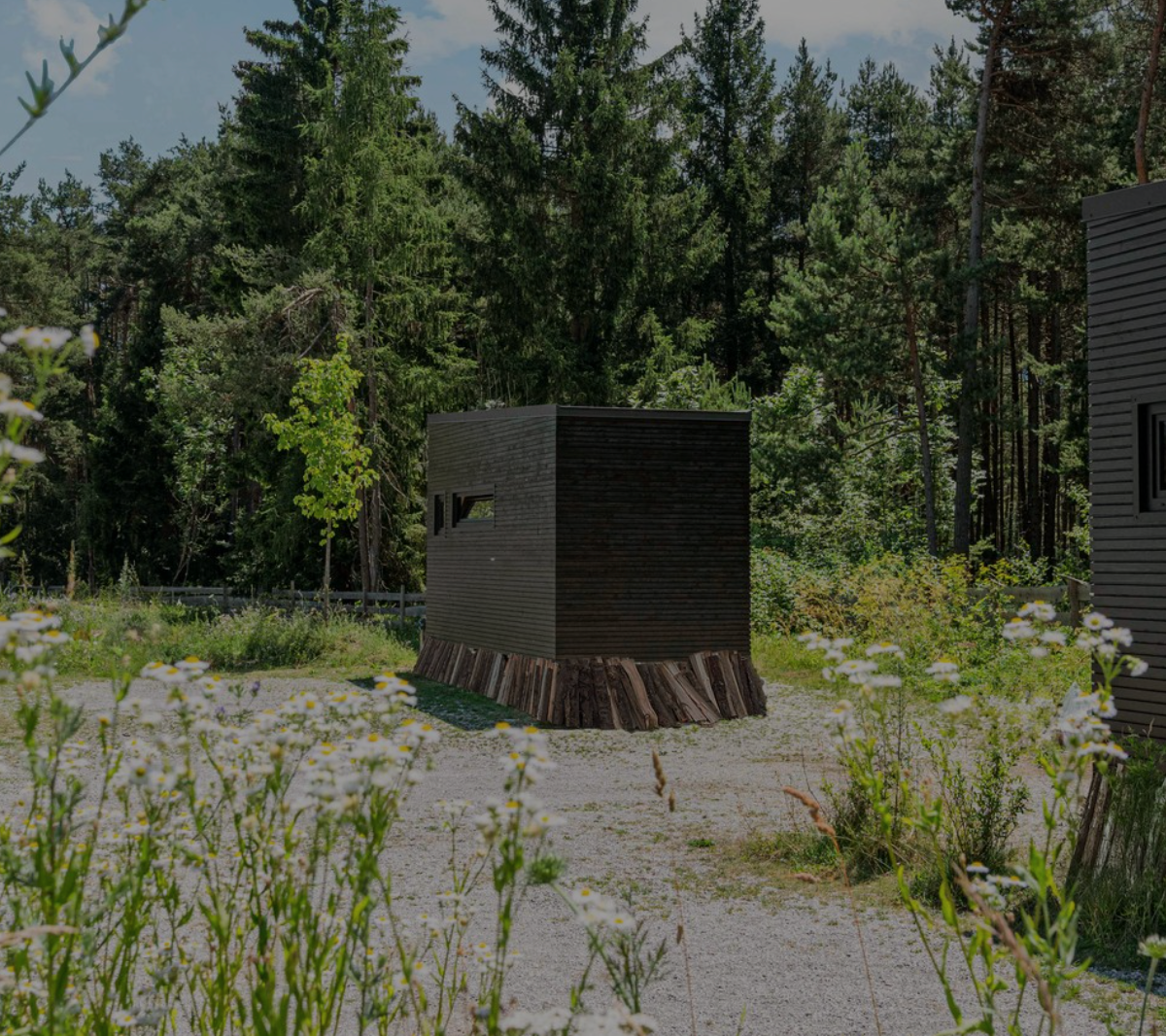 Small dark wooden structure in a gravel clearing, surrounded by tall green trees and wildflowers.
