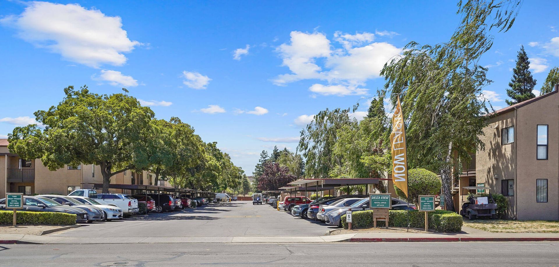 Tree-lined apartment complex parking lot with cars under a bright blue sky