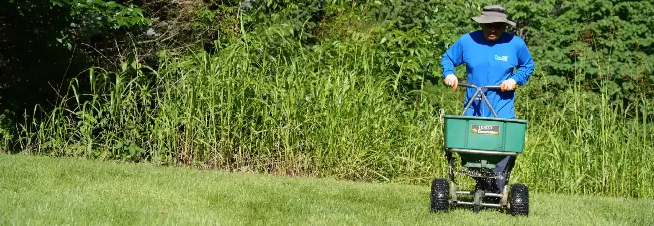 Fertilizer treatment applied to improve lawn health and growth
