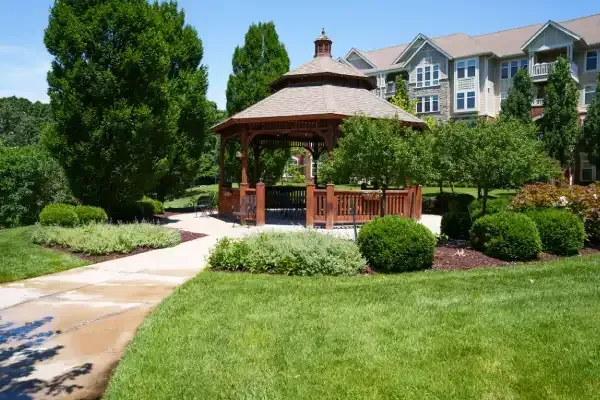 Newly installed landscape with plants and decorative elements