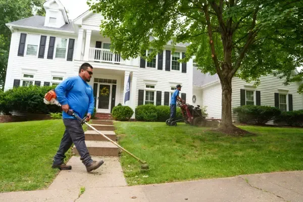 Lawn care and grass maintenance for a healthy, well-kept yard