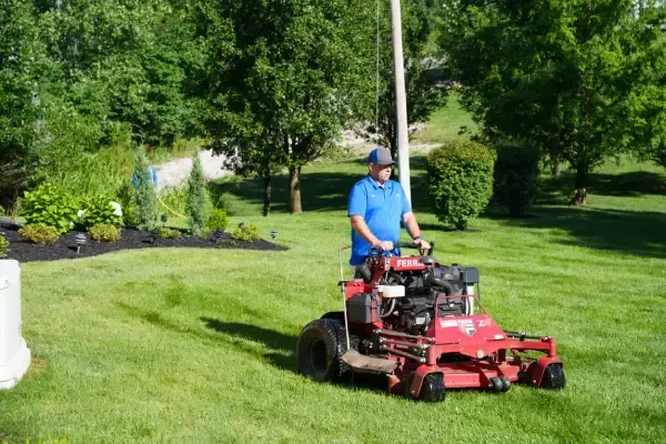 Freshly mowed lawn with clean, even grass