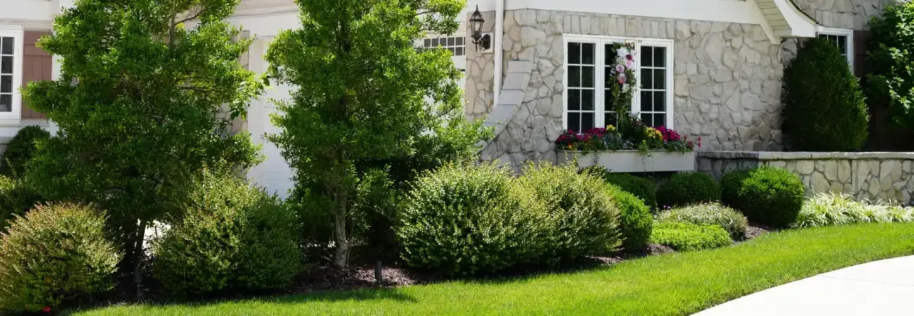 Clean and refreshed landscape with overgrowth and debris removed