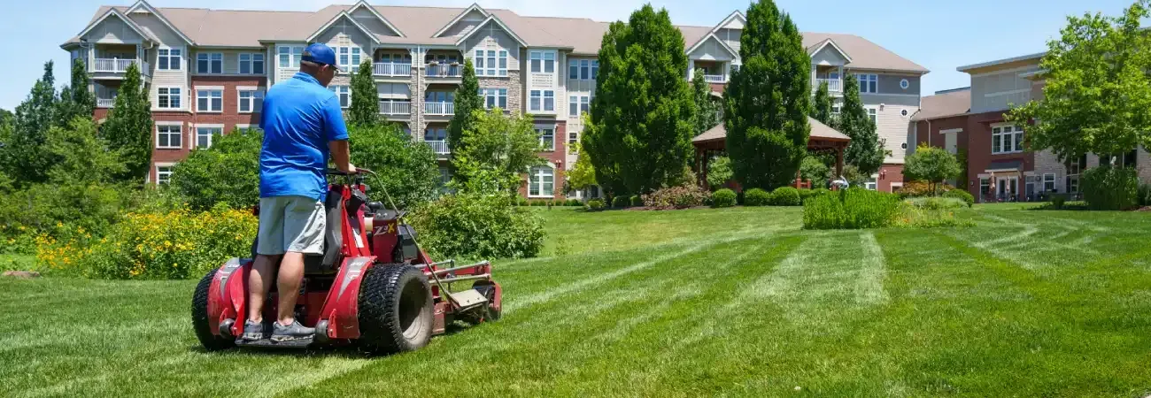 Lawn being maintained with professional mowing service
