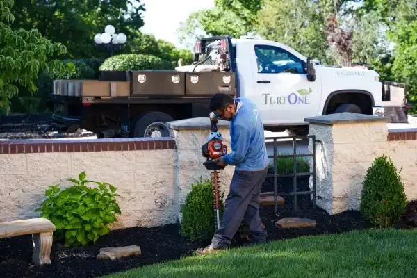 Carefully trimmed shrubs shaping and improving the landscape