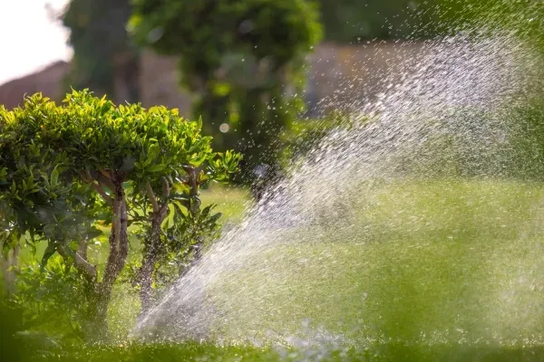 irrigation services in ladue mo
