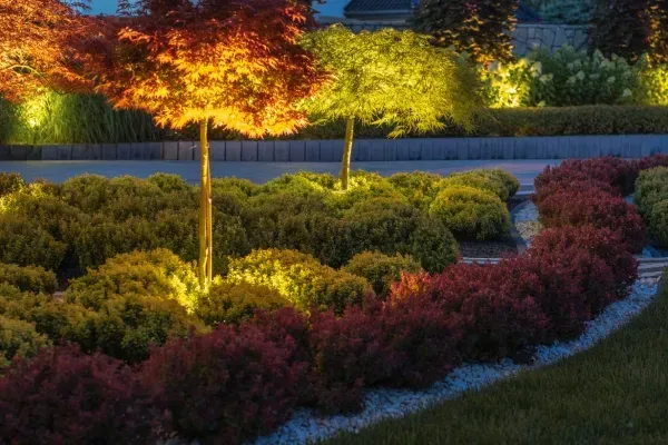 landscape lighting clayton mo