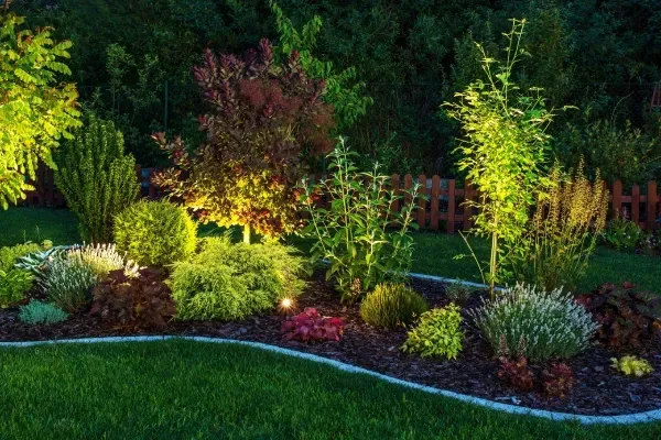 landscape lighting experts in fenton mo