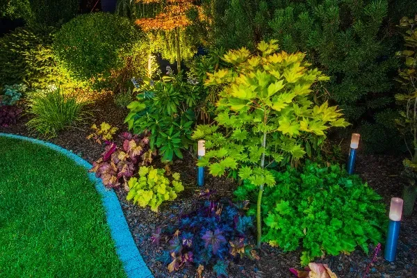 landscape lighting experts in hillsboro mo