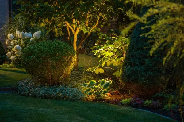 landscape lighting experts in wildwood mo