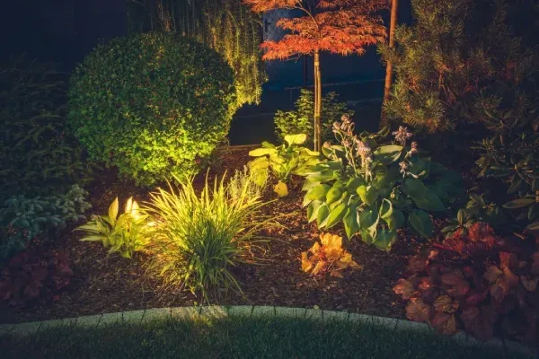 landscape lighting in ladue mo