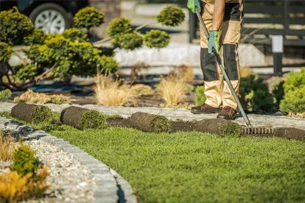 landscaping experts in cedar hill mo