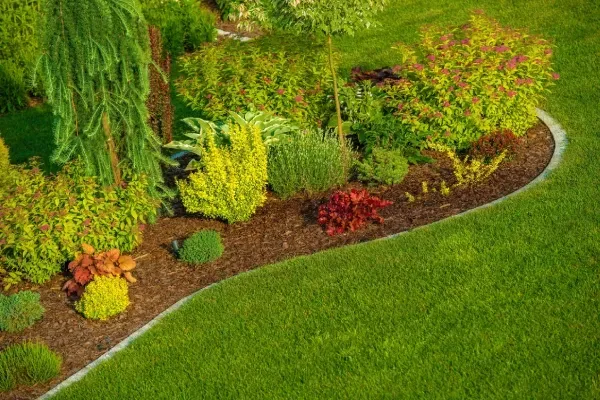 landscaping services clayton mo