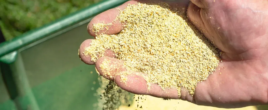 lawn aeration and overseeding in st louis