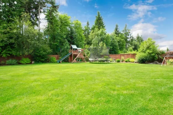 lawn care clayton mo