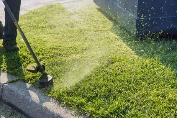 lawn care experts in fenton mo